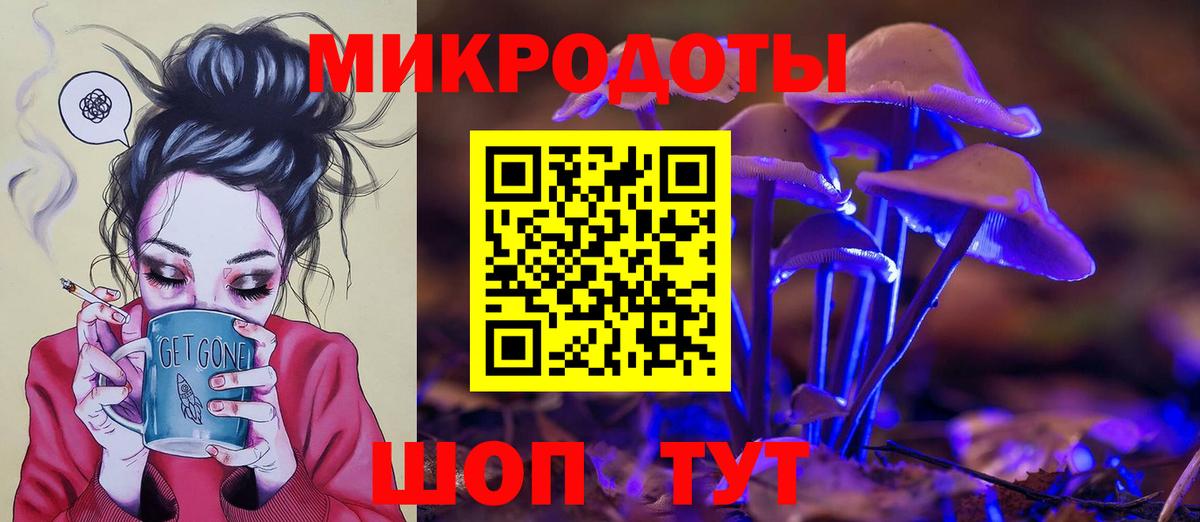 Галлюциногенные грибы Psilocybine cubensis Усинск