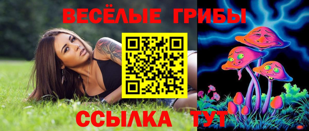 Псилоцибиновые грибы GOLDEN TEACHER  Галлюциногенные грибы прущие грибы  Усинск  Вход с VPN 